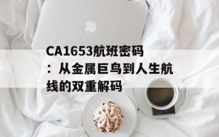 CA1653航班密码：从金属巨鸟到人生航线的双重解码