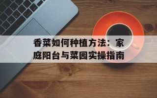 香菜如何种植方法：家庭阳台与菜园实操指南