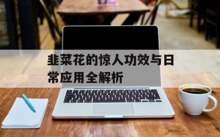 韭菜花的惊人功效与日常应用全解析