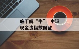 庖丁解“牛”| 中证现金流指数图鉴
