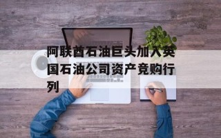 阿联酋石油巨头加入英国石油公司资产竞购行列