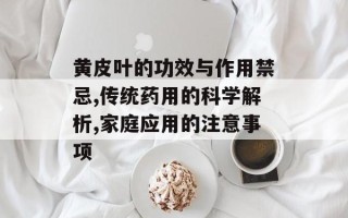 黄皮叶的功效与作用禁忌,传统药用的科学解析,家庭应用的注意事项