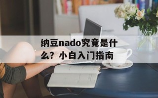 纳豆nado究竟是什么？小白入门指南