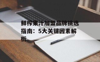 鲜榨果汁加盟品牌挑选指南：5大关键因素解析