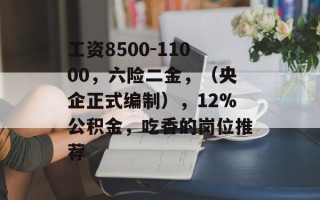工资8500-11000，六险二金，（央企正式编制），12%公积金，吃香的岗位推荐