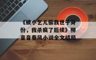 《被小乞儿偷我世子身份，我杀疯了后续》柳音音秦风小说全文结局