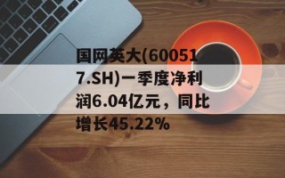 国网英大(600517.SH)一季度净利润6.04亿元，同比增长45.22%