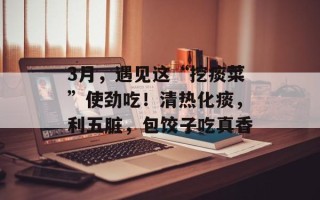 3月，遇见这“挖痰菜”使劲吃！清热化痰，利五脏，包饺子吃真香