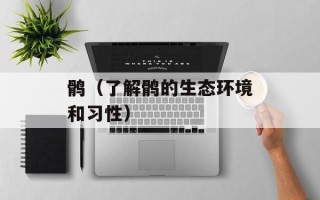鹘（了解鹘的生态环境和习性）