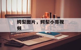 鳄梨图片，鳄梨小哥视频