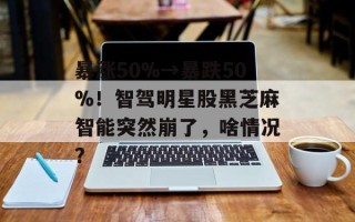 暴涨50%→暴跌50%！智驾明星股黑芝麻智能突然崩了，啥情况？