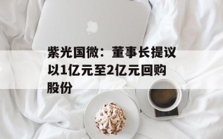 紫光国微：董事长提议以1亿元至2亿元回购股份