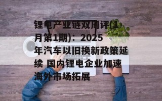 锂电产业链双周评(1月第1期)：2025年汽车以旧换新政策延续 国内锂电企业加速海外市场拓展