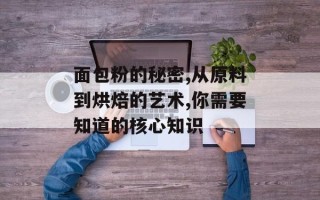 面包粉的秘密,从原料到烘焙的艺术,你需要知道的核心知识