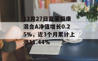 12月27日富荣福康混合A净值增长0.25%，近3个月累计上涨11.44%