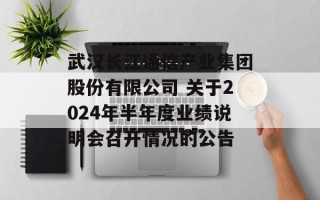 武汉长江通信产业集团股份有限公司 关于2024年半年度业绩说明会召开情况的公告