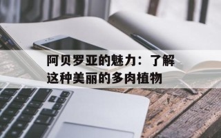 阿贝罗亚的魅力：了解这种美丽的多肉植物