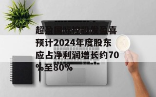 超盈国际控股发盈喜 预计2024年度股东应占净利润增长约70%至80%