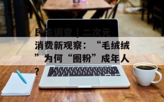 民生调查 | 二次元消费新观察：“毛绒绒”为何“圈粉”成年人？