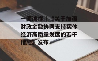 一图读懂｜《关于加强财政金融协同支持实体经济高质量发展的若干措施》发布