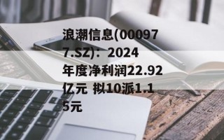浪潮信息(000977.SZ)：2024年度净利润22.92亿元 拟10派1.15元