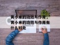 黄小米的功效与作用，黄小米的功效与作用有什么好处