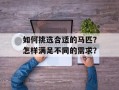 如何挑选合适的马匹？怎样满足不同的需求？