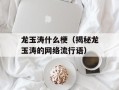 龙玉涛什么梗（揭秘龙玉涛的网络流行语）