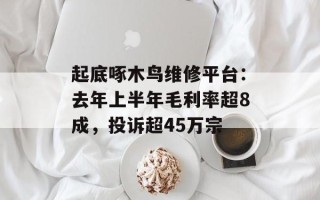 起底啄木鸟维修平台：去年上半年毛利率超8成，投诉超45万宗