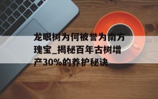 龙眼树为何被誉为南方瑰宝_揭秘百年古树增产30%的养护秘诀