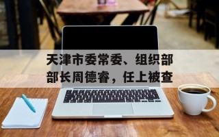天津市委常委、组织部部长周德睿，任上被查