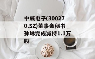 中威电子(300270.SZ)董事会秘书孙琳完成减持1.1万股