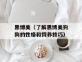 黑博美（了解黑博美狗狗的性格和饲养技巧）