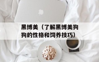 黑博美（了解黑博美狗狗的性格和饲养技巧）