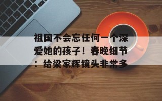 祖国不会忘任何一个深爱她的孩子！春晚细节：给梁家辉镜头非常多