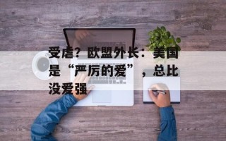 受虐？欧盟外长：美国是“严厉的爱”，总比没爱强