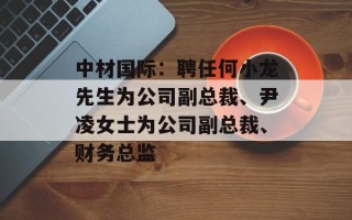 中材国际：聘任何小龙先生为公司副总裁、尹凌女士为公司副总裁、财务总监