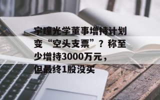 宇瞳光学董事增持计划变“空头支票”？称至少增持3000万元，但最终1股没买