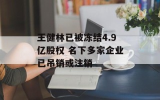 王健林已被冻结4.9亿股权 名下多家企业已吊销或注销
