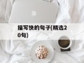 描写快的句子(精选20句)