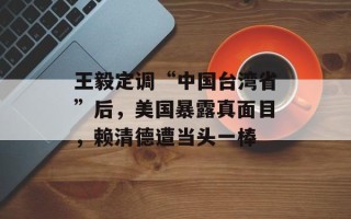 王毅定调“中国台湾省”后，美国暴露真面目，赖清德遭当头一棒