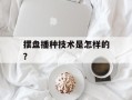摆盘播种技术是怎样的？
