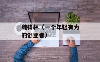魏梓林（一个年轻有为的创业者）