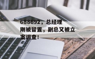 688692，总经理刚被留置，副总又被立案调查！