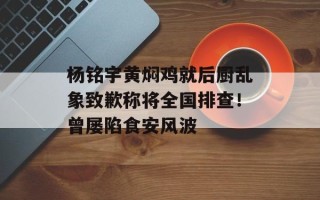 杨铭宇黄焖鸡就后厨乱象致歉称将全国排查！曾屡陷食安风波