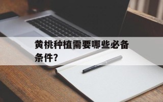 黄桃种植需要哪些必备条件？