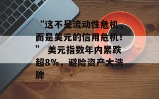 “这不是流动性危机，而是美元的信用危机！” 美元指数年内累跌超8%，避险资产大洗牌