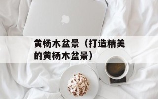 黄杨木盆景（打造精美的黄杨木盆景）