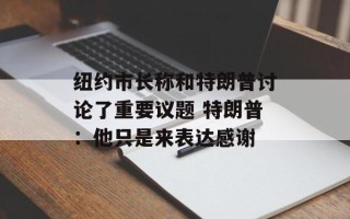 纽约市长称和特朗普讨论了重要议题 特朗普：他只是来表达感谢