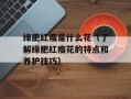 绿肥红瘦是什么花（了解绿肥红瘦花的特点和养护技巧）